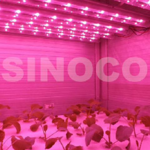 led grow light
