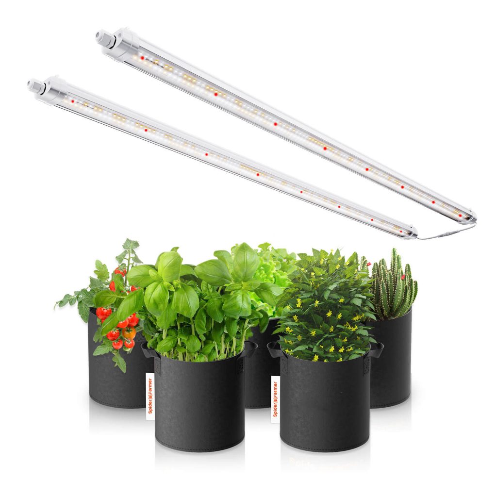 LED Grow Lights for Plants